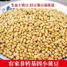 新豆椭圆形笨黄豆非转基因黄豆老品种大豆农家自种黄豆5斤打豆浆